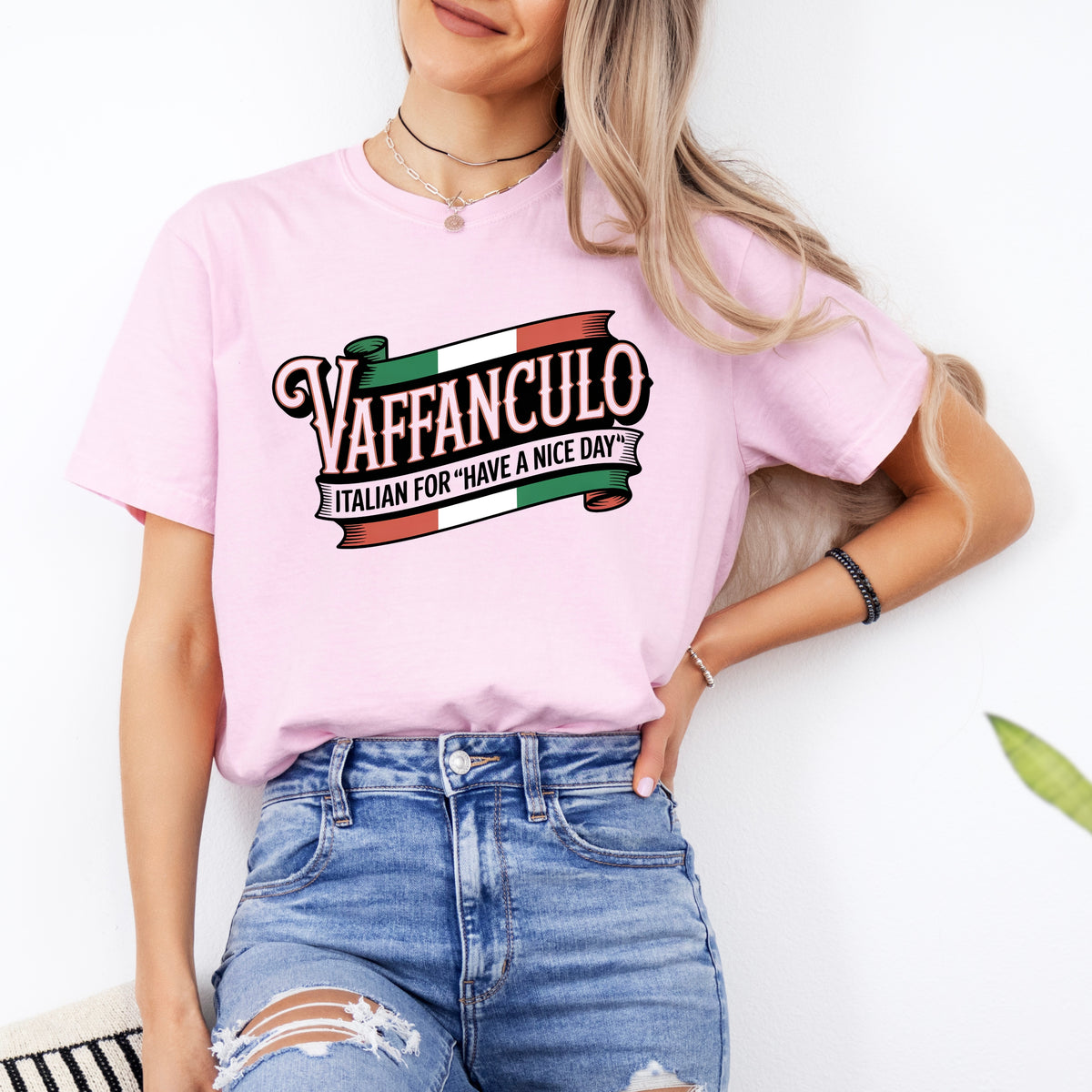 Funny Italian Vaffanculo Shirt | Italy Flag Shirt | Have A Nice Day Italy Travel T-shirt | Garment-Dyed Tshirt