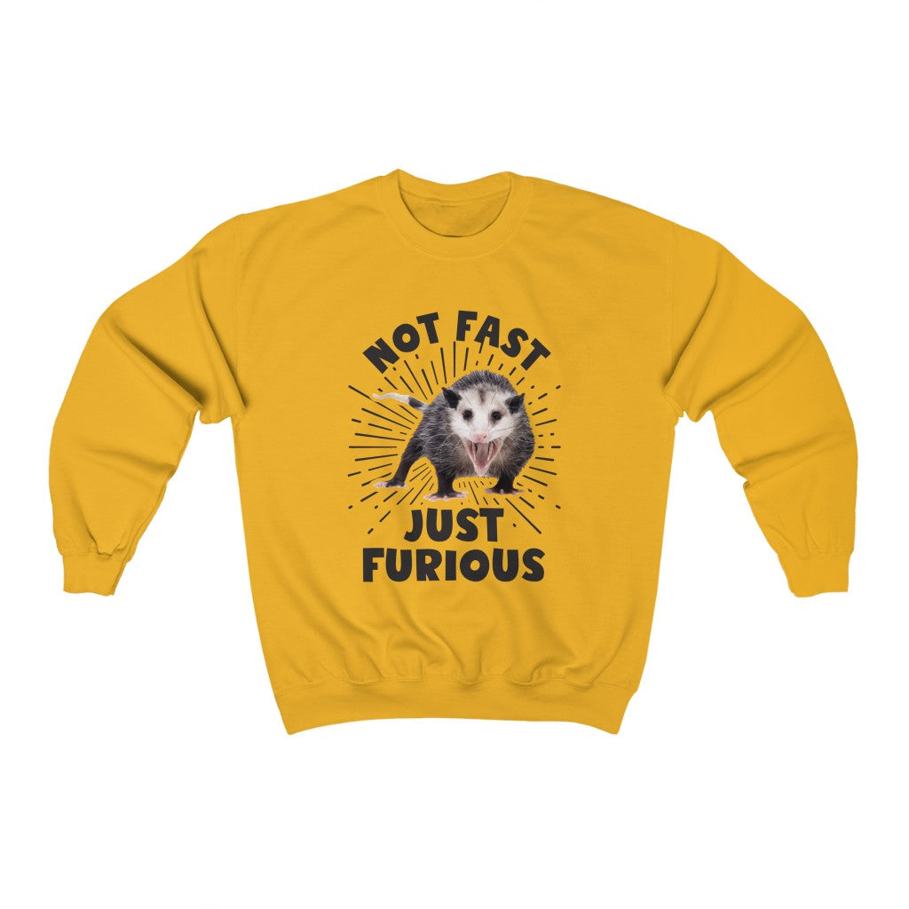 Not Fast and Furious Funny Possum Shirt | Funny Nature Lover Gift | Unisex Crewneck Sweatshirt