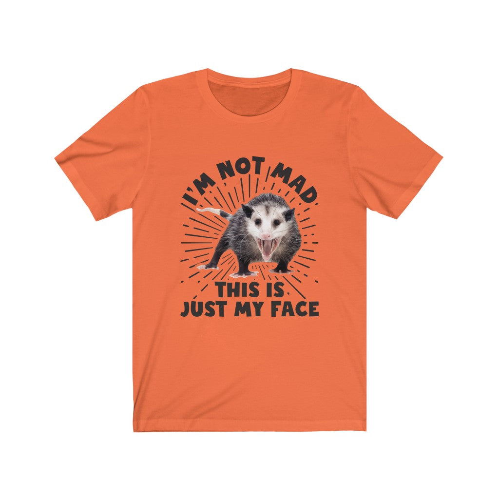 I'm Not Mad Funny Possum Shirt | Animal Lover Possum Gift | Unisex Jersey T-shirt