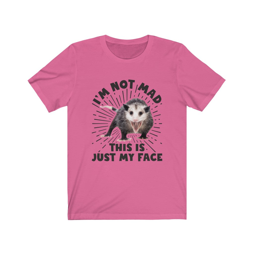 I'm Not Mad Funny Possum Shirt | Animal Lover Possum Gift | Unisex Jersey T-shirt
