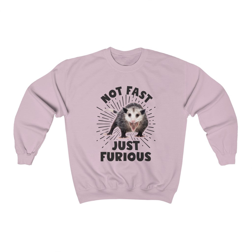 Not Fast and Furious Funny Possum Shirt | Funny Nature Lover Gift | Unisex Crewneck Sweatshirt