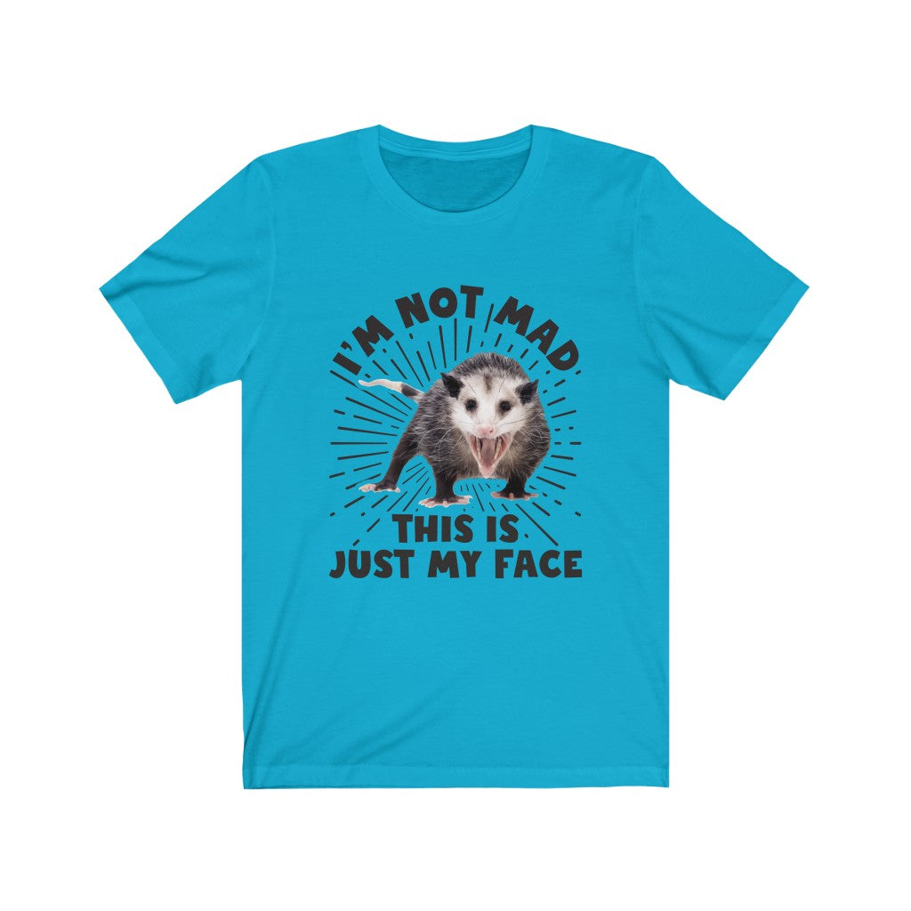 I'm Not Mad Funny Possum Shirt | Animal Lover Possum Gift | Unisex Jersey T-shirt